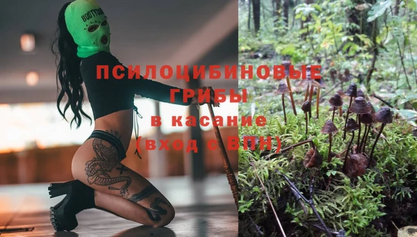 шишки Володарск