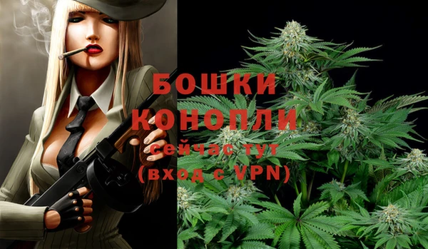 шишки Володарск