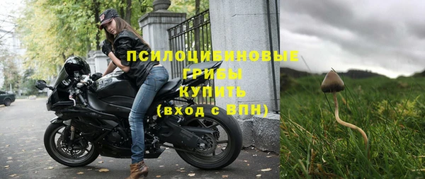 шишки Володарск