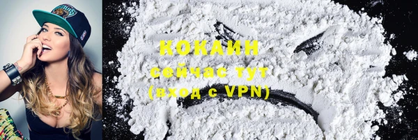 шишки Володарск