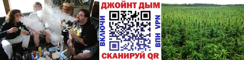 Бошки Шишки семена  Гаврилов-Ям 